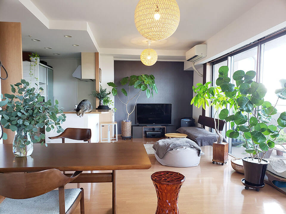 Home partyもできて重宝してます <br>大阪府 M.Nさま