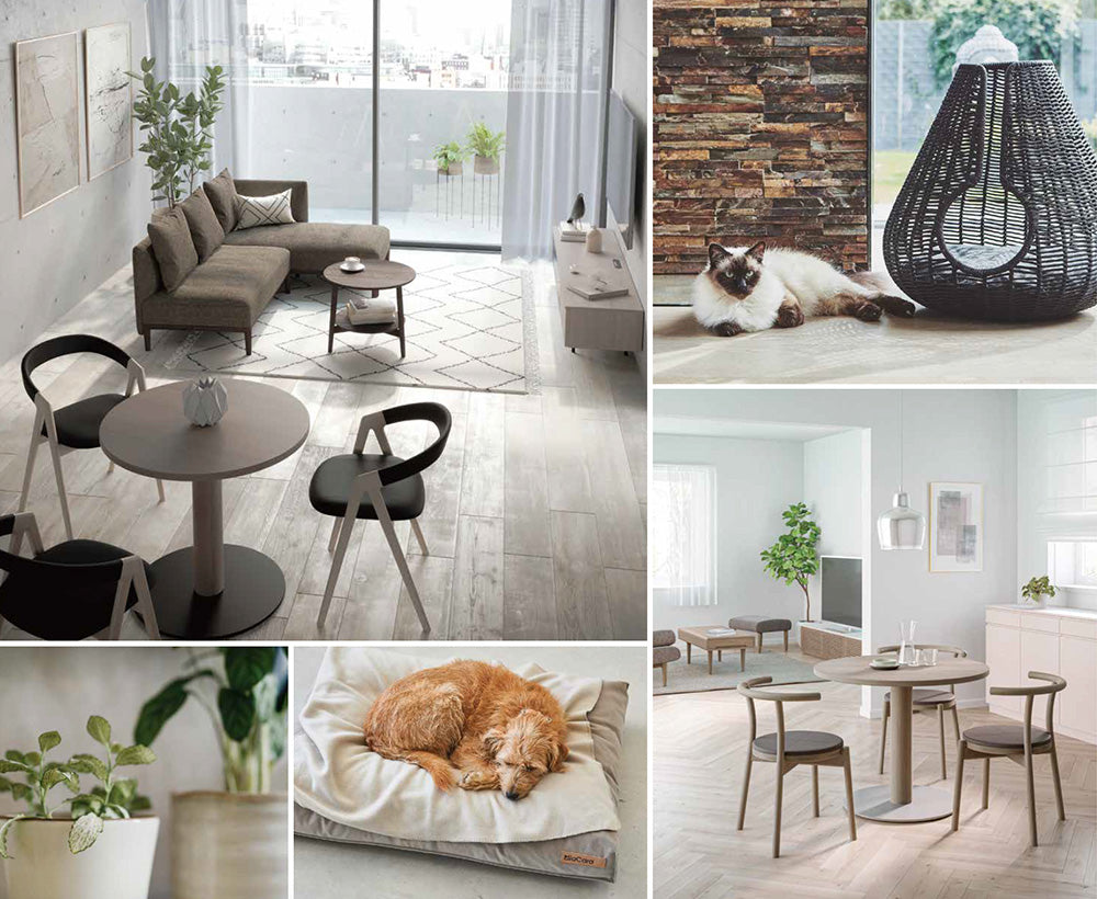 ペットハウススクエアハウスFa-Faオリジナルfranfran風クリスタル