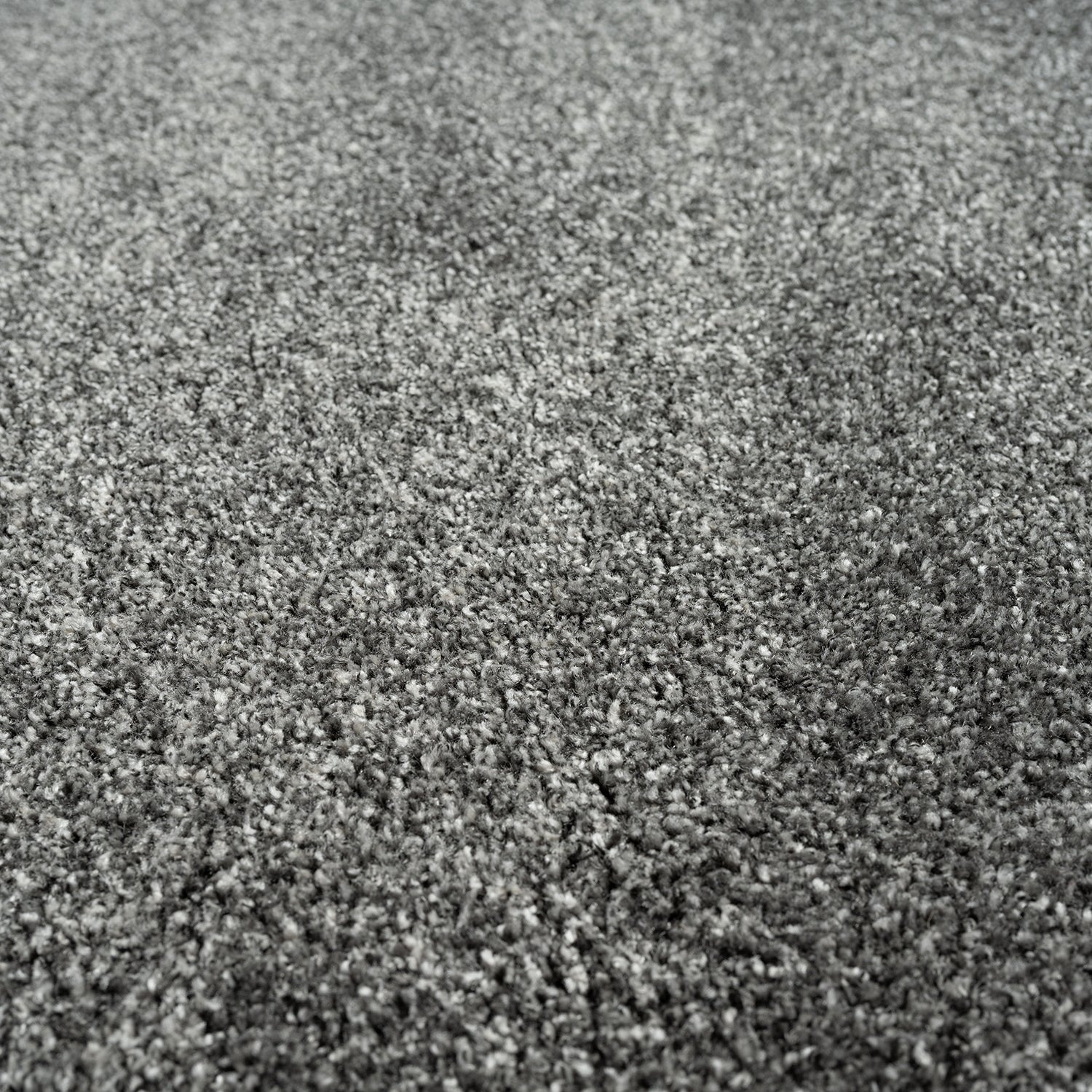 WING LUX キュリオケース