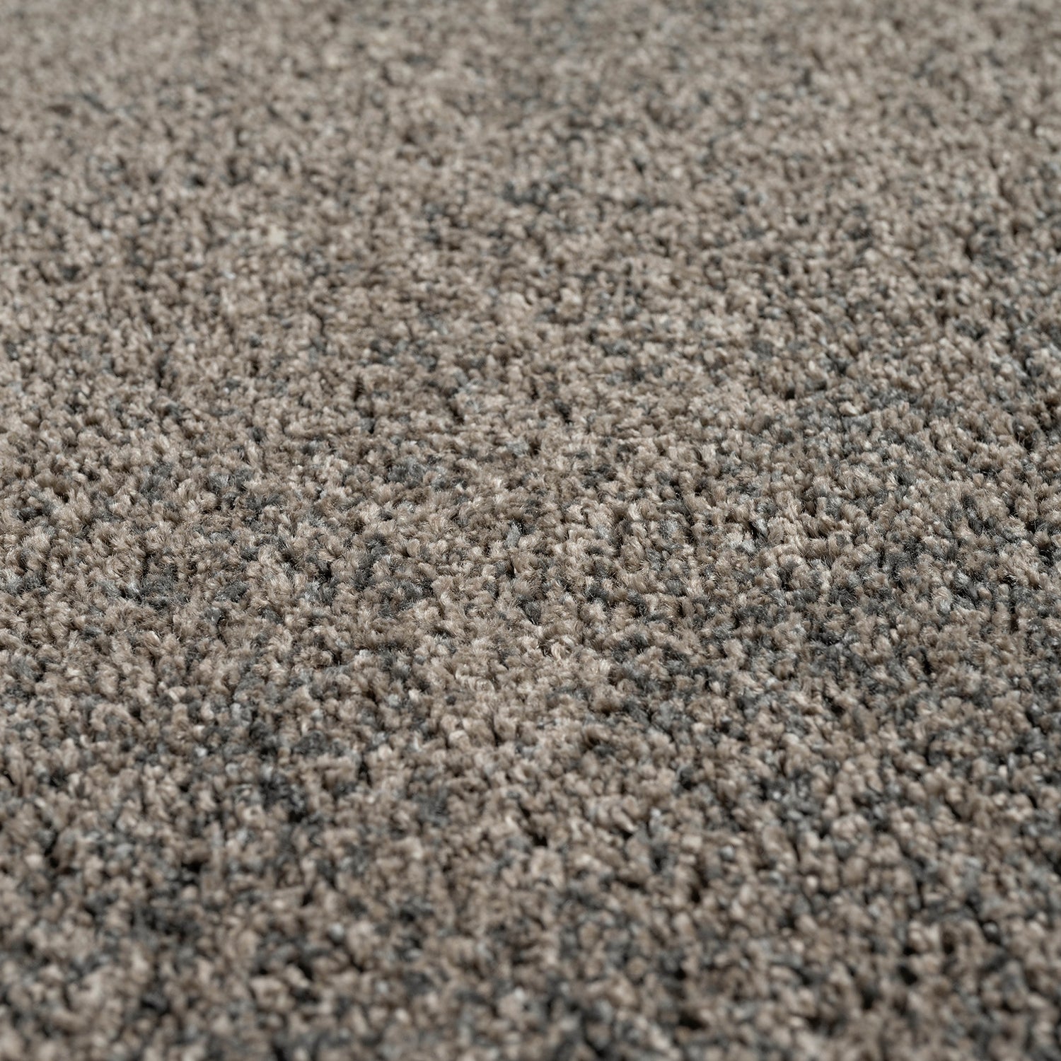 WING LUX キュリオケース